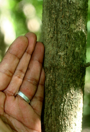  ( - BioBot01268)  @11 [ ] CreativeCommons - Attribution Non-Commercial Share-Alike (2010) Daniel H. Janzen Guanacaste Dry Forest Conservation Fund