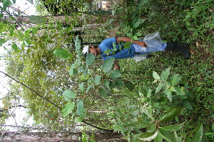  ( - BioBot05039)  @11 [ ] Copyright (2010) Unspecified Unspecified
