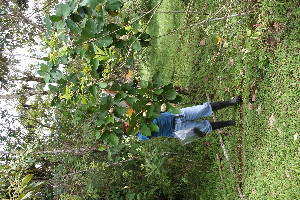  ( - BioBot05040)  @11 [ ] Copyright (2010) Unspecified Unspecified