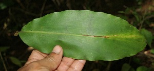  ( - BioBot05063)  @11 [ ] Copyright (2010) Unspecified Unspecified