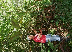  ( - BioBot05086)  @11 [ ] Copyright (2010) Unspecified Unspecified
