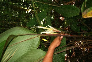  ( - BioBot05087)  @11 [ ] Copyright (2010) Unspecified Unspecified