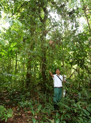  ( - BioBot05102)  @11 [ ] CreativeCommons - Attribution Non-Commercial Share-Alike (2010) Daniel H. Janzen Guanacaste Dry Forest Conservation Fund