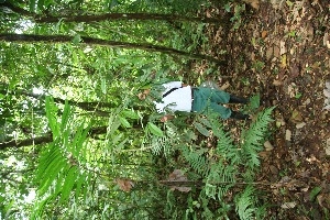  ( - BioBot05106)  @11 [ ] Copyright (2010) Unspecified Unspecified
