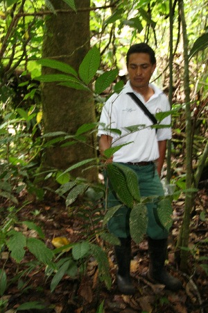  ( - BioBot05107)  @11 [ ] CreativeCommons - Attribution Non-Commercial Share-Alike (2010) Daniel H. Janzen Guanacaste Dry Forest Conservation Fund