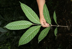  ( - BioBot05107)  @11 [ ] Copyright (2010) Unspecified Unspecified