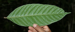  ( - BioBot05107)  @11 [ ] Copyright (2010) Unspecified Unspecified