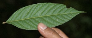  ( - BioBot05108)  @11 [ ] Copyright (2010) Unspecified Unspecified