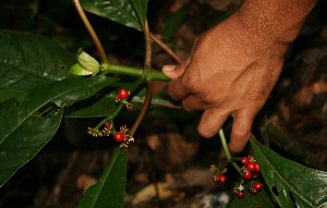  ( - BioBot05121)  @11 [ ] Copyright (2010) Unspecified Unspecified