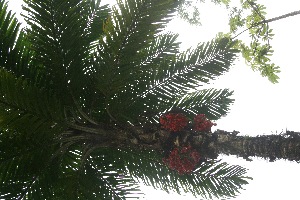  ( - BioBot05163)  @11 [ ] Copyright (2010) Unspecified Unspecified