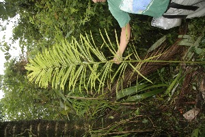  ( - BioBot05163)  @11 [ ] Copyright (2010) Unspecified Unspecified