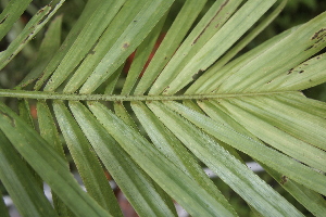  ( - BioBot05163)  @11 [ ] Copyright (2010) Unspecified Unspecified