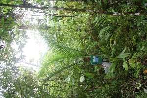  ( - BioBot05164)  @11 [ ] Copyright (2010) Unspecified Unspecified