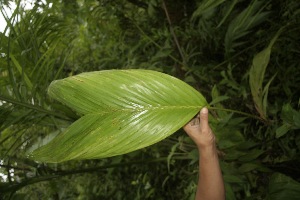  ( - BioBot05164)  @11 [ ] Copyright (2010) Unspecified Unspecified