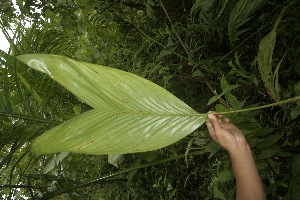  ( - BioBot05164)  @11 [ ] Copyright (2010) Unspecified Unspecified