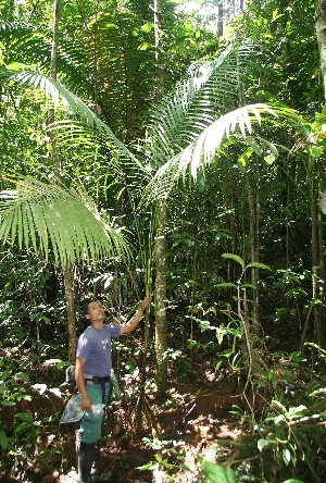  ( - BioBot05170)  @11 [ ] CreativeCommons - Attribution Non-Commercial Share-Alike (2010) Daniel H. Janzen Guanacaste Dry Forest Conservation Fund