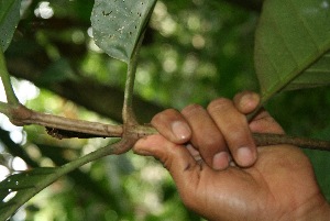  ( - BioBot05180)  @11 [ ] Copyright (2010) Unspecified Unspecified
