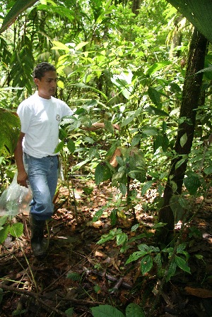  ( - BioBot05187)  @11 [ ] CreativeCommons - Attribution Non-Commercial Share-Alike (2010) Daniel H. Janzen Guanacaste Dry Forest Conservation Fund