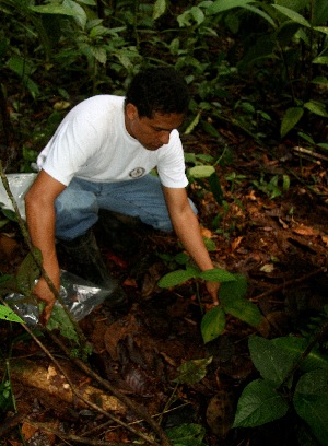  ( - BioBot05195)  @11 [ ] CreativeCommons - Attribution Non-Commercial Share-Alike (2010) Daniel H. Janzen Guanacaste Dry Forest Conservation Fund