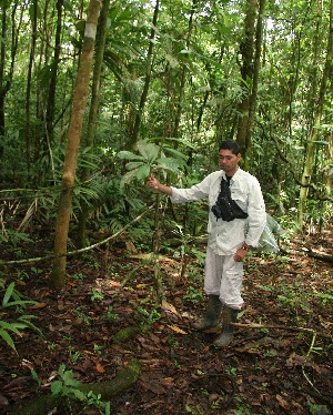  ( - BioBot05208)  @11 [ ] CreativeCommons - Attribution Non-Commercial Share-Alike (2010) Daniel H. Janzen Guanacaste Dry Forest Conservation Fund