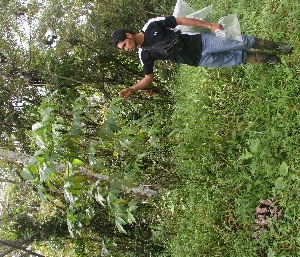  ( - BioBot05286)  @11 [ ] Copyright (2010) Unspecified Unspecified
