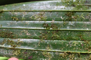  ( - BioBot05350)  @11 [ ] Copyright (2010) Unspecified Unspecified