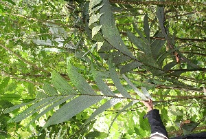  ( - BioBot05351)  @11 [ ] Copyright (2010) Unspecified Unspecified