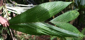  ( - BioBot05352)  @11 [ ] Copyright (2010) Unspecified Unspecified