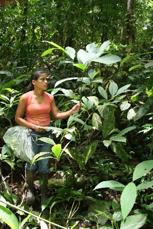  ( - BioBot05555)  @11 [ ] CreativeCommons - Attribution Non-Commercial Share-Alike (2010) Daniel H. Janzen Guanacaste Dry Forest Conservation Fund