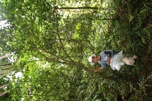  ( - BioBot05913)  @11 [ ] CreativeCommons - Attribution Non-Commercial Share-Alike (2010) Daniel H. Janzen Guanacaste Dry Forest Conservation Fund