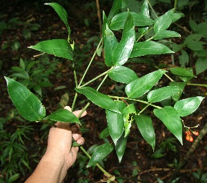  ( - BioBot10004)  @11 [ ] Copyright (2010) Unspecified Unspecified