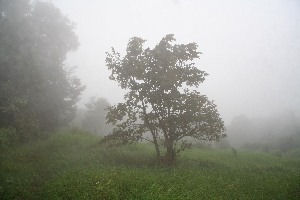  ( - BioBot10034)  @11 [ ] Copyright (2010) Unspecified Unspecified