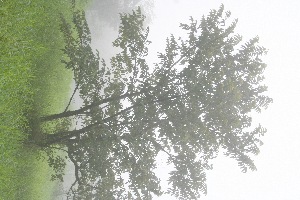  ( - BioBot10034)  @11 [ ] Copyright (2010) Unspecified Unspecified