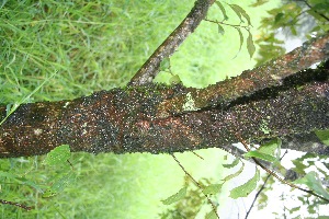  ( - BioBot10034)  @11 [ ] Copyright (2010) Unspecified Unspecified