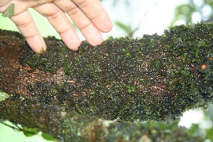  ( - BioBot10034)  @11 [ ] Copyright (2010) Unspecified Unspecified