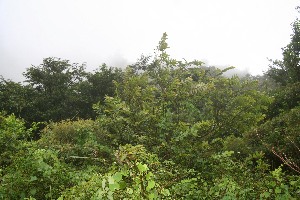  ( - BioBot10035)  @11 [ ] Copyright (2010) Unspecified Unspecified