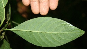  ( - BioBot10042)  @11 [ ] Copyright (2010) Unspecified Unspecified