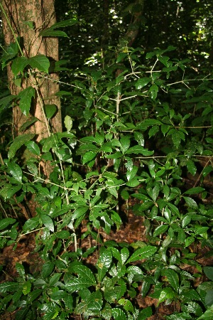  ( - BioBot10046)  @11 [ ] Copyright (2010) Unspecified Unspecified
