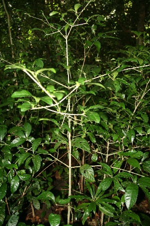  ( - BioBot10047)  @11 [ ] Copyright (2010) Unspecified Unspecified