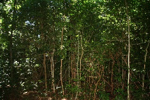  ( - BioBot10048)  @11 [ ] Copyright (2010) Unspecified Unspecified