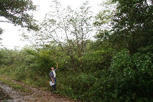  ( - BioBot10099)  @11 [ ] Copyright (2010) Unspecified Unspecified