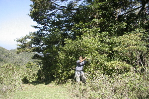  ( - BioBot10170)  @11 [ ] CreativeCommons - Attribution Non-Commercial Share-Alike (2011) Daniel H. Janzen Guanacaste Dry Forest Conservation Fund