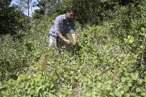  ( - BioBot10177)  @11 [ ] CreativeCommons - Attribution Non-Commercial Share-Alike (2011) Daniel H. Janzen Guanacaste Dry Forest Conservation Fund