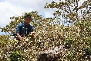  ( - BioBot10243)  @11 [ ] CreativeCommons - Attribution Non-Commercial Share-Alike (2011) Daniel H. Janzen Guanacaste Dry Forest Conservation Fund