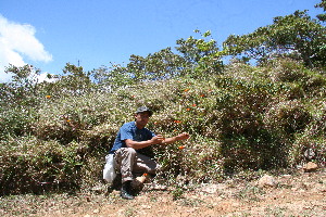  ( - BioBot10245)  @11 [ ] CreativeCommons - Attribution Non-Commercial Share-Alike (2011) Daniel H. Janzen Guanacaste Dry Forest Conservation Fund