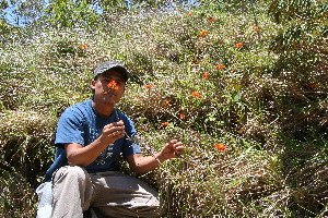  ( - BioBot10245)  @11 [ ] CreativeCommons - Attribution Non-Commercial Share-Alike (2011) Daniel H. Janzen Guanacaste Dry Forest Conservation Fund