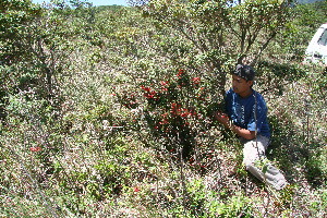  ( - BioBot10255)  @11 [ ] CreativeCommons - Attribution Non-Commercial Share-Alike (2011) Daniel H. Janzen Guanacaste Dry Forest Conservation Fund