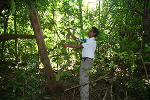 ( - BioBot10313)  @11 [ ] CreativeCommons - Attribution Non-Commercial Share-Alike (2011) Daniel H. Janzen Guanacaste Dry Forest Conservation Fund