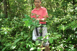  ( - BioBot10339)  @11 [ ] CreativeCommons - Attribution Non-Commercial Share-Alike (2011) Daniel H. Janzen Guanacaste Dry Forest Conservation Fund