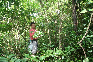  ( - BioBot10340)  @11 [ ] CreativeCommons - Attribution Non-Commercial Share-Alike (2011) Daniel H. Janzen Guanacaste Dry Forest Conservation Fund